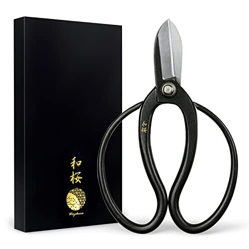 Wazakura Koryu Flower Arrangement Ikebana Scissors 6.5 in (165mm) Made in Japan, Floral Arrangement Hasami, Japanese Kado Tools - Yasugi Steel Koryu Scissors