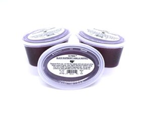 3 pack of sweet black raspberry vanilla inspired aroma long lasting gel melts™ gel wax for warmers and burners peel, melt, enjoy