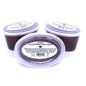 3 Pack of Sweet BLACK RASPBERRY VANILLA inspired aroma Long Lasting Gel Melts™ gel wax for Warmers and Burners PEEL, MELT, ENJOY