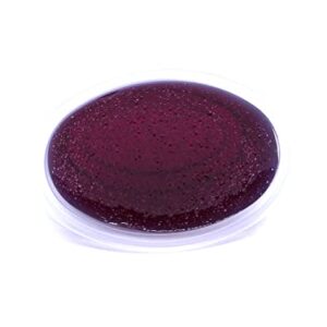 3 Pack of Sweet BLACK RASPBERRY VANILLA inspired aroma Long Lasting Gel Melts™ gel wax for Warmers and Burners PEEL, MELT, ENJOY