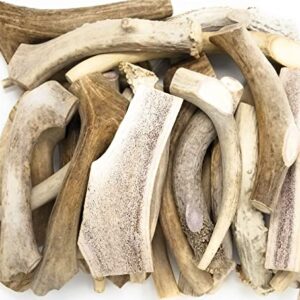 Big Dog Antler Chews - One Pound Pack of Sun-Aged Deer and Elk Antler Dog Bone Chews - Natural Healthy Long-Lasting Treat