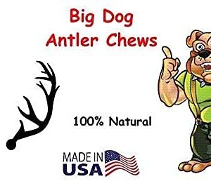 Big Dog Antler Chews - One Pound Pack of Sun-Aged Deer and Elk Antler Dog Bone Chews - Natural Healthy Long-Lasting Treat