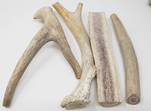 Big Dog Antler Chews - One Pound Pack of Sun-Aged Deer and Elk Antler Dog Bone Chews - Natural Healthy Long-Lasting Treat