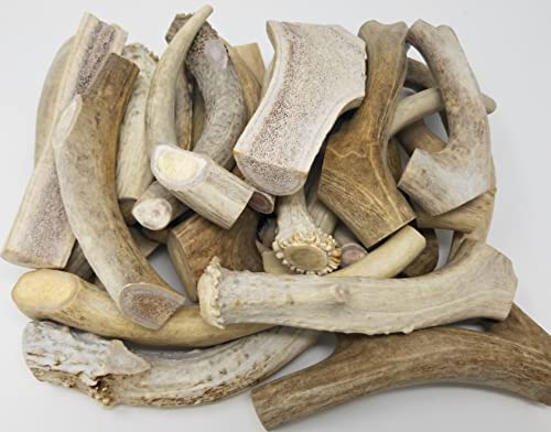 Big Dog Antler Chews - One Pound Pack of Sun-Aged Deer and Elk Antler Dog Bone Chews - Natural Healthy Long-Lasting Treat