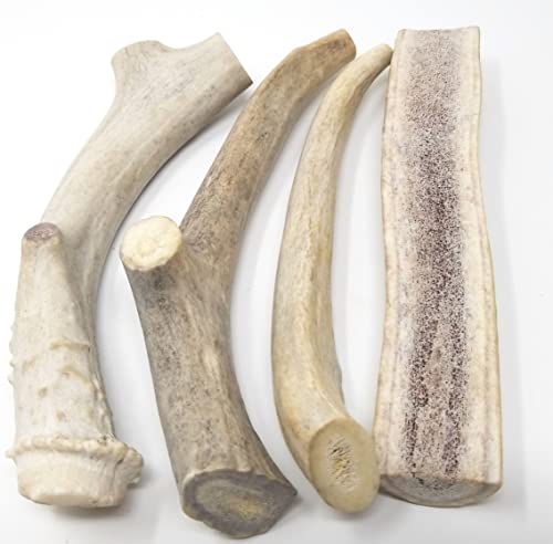 Big Dog Antler Chews - One Pound Pack of Sun-Aged Deer and Elk Antler Dog Bone Chews - Natural Healthy Long-Lasting Treat