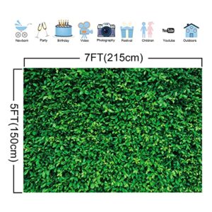 GiuMsi 7x5ft Polyester Greenery Leaves Photography Backdrop Grass Spring Natural Outdoorsy Supplies for Birthday Wedding Baby Shower Party Decorations Background Portrait Photo Booth