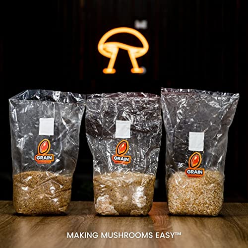 MushroomSupplies.com Sterilized Grain Bag for Mushroom Growing | Millet Substrate | 0.2 Micron Filter Mycobag Grow Kit | Mycology Cultivation Supplies (3LB)