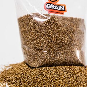 MushroomSupplies.com Sterilized Grain Bag for Mushroom Growing | Millet Substrate | 0.2 Micron Filter Mycobag Grow Kit | Mycology Cultivation Supplies (3LB)