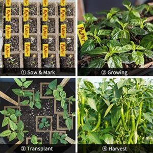 160Cells Seedling Start Trays with Drain Holes,10pcs Peat Pots Seedling Pots Biodegradable,Seedling Starter Kit,Organic Germination Plant Starter Trays(100xLabels,2xTransplant Tools,1xSpray Bottle)