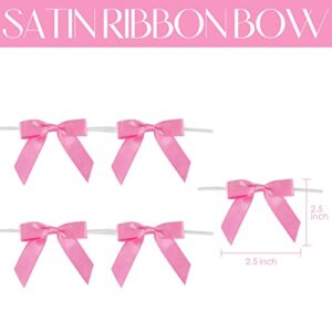 AIMUDI Hot Pink Bows 2.5" Pink Ribbon Valentine's Day Pink Twist Tie Bows Pre Tied Bows Premade Bows for Crafts Treat Bags Cake Pop Party Decorations Candy Apple Box Wedding - 50 Counts