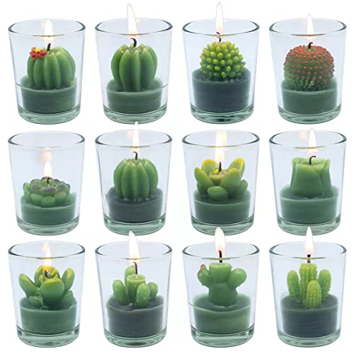 Cute Succulent Cactus Tealight Candles in Clear Glass Jar, 12Pcs Green Novelty Decorative Votive Candles for House-Warming Party Wedding Baby-Shower and Home Decoration Gifts