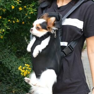 Mr. Pen- Pet Adjustable Dog Carrier Backpacks, Hiking Travel Backpack, Puppy Backpack, Dog Front Carrier
