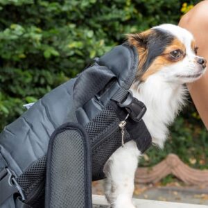 Mr. Pen- Pet Adjustable Dog Carrier Backpacks, Hiking Travel Backpack, Puppy Backpack, Dog Front Carrier