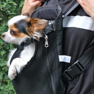 Mr. Pen- Pet Adjustable Dog Carrier Backpacks, Hiking Travel Backpack, Puppy Backpack, Dog Front Carrier