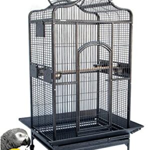 Extra Large Elegant Open Dome Top with Play Wooden Perch Stand Bird Parrot Cage for Macaw Cockatoo African Grey (35.25 x 29.5 x 62H Inches, Black Vein)