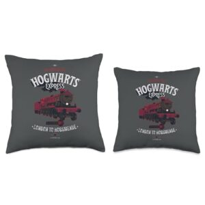 Harry Potter Hogwarts Express All Aboard Throw Pillow, 16x16, Multicolor