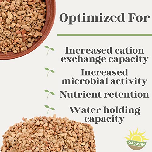 Calcined Clay Soil Amendment (2 Quarts), for Bonsai Tree Potting and Other Plants, Regulates Moisture