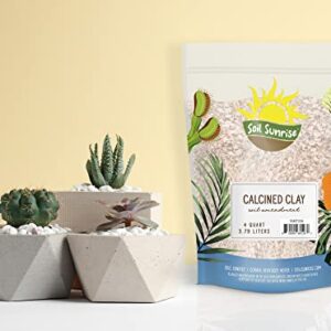 Calcined Clay Soil Amendment (2 Quarts), for Bonsai Tree Potting and Other Plants, Regulates Moisture