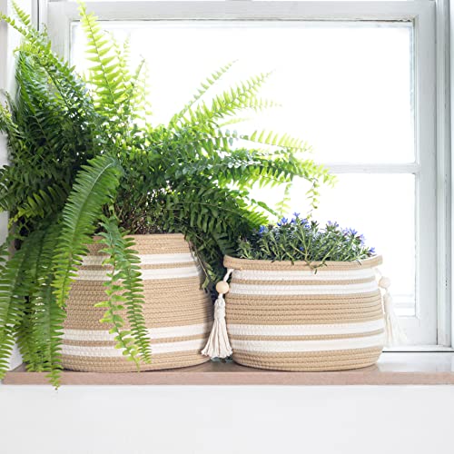 Woven Plant Basket for Plants Indoor (Set of 2) | Boho Basket Planters for Indoor Plants | Plant Baskets for Plants | Plant Baskets Indoor | Basket Planter | Woven Basket for Plant