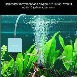 NICREW Nano Silent Aquarium Air Pump, Corded Electric, Aquarium Aerator with Accessories for Up to 10 Gallon Fish Tank, Super Quiet, 0.3 L/min, 1.5 Watts