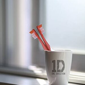 B. Designs One Direction Singing Battery Powered Tooth Brush (Live While we’re Young)/Limited Edition