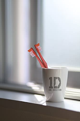 B. Designs One Direction Singing Battery Powered Tooth Brush (Live While we’re Young)/Limited Edition