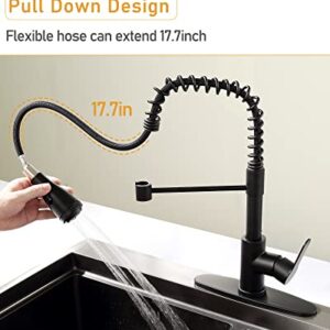 PHASAT Kitchen Faucet with Pull Down Sprayer High ArcSpring Kitchen Sink Faucet 4 Function Single Handle Mixer Tap,Matte Black,PU1H01