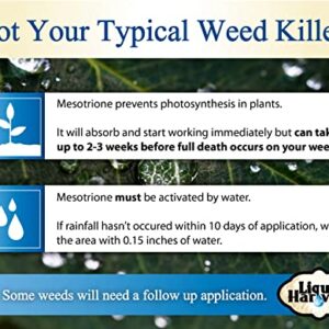 Liquid Harvest Mesotrione - 8oz - Mesotrione Concentrate (Compare to Tenacity) - Pre and Post-Emergent Weed Killer for Lawn and Turf Grasses