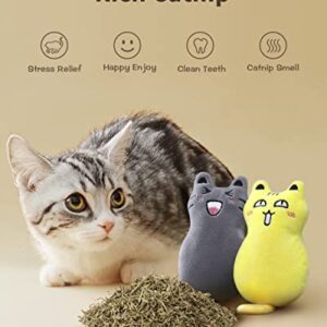 Feeko 5Pcs Catnip Toys, Cat Pillow Toys, Rattle Sound, Cat Toys for Indoor Cats Interactive with Cute Cat Toy Set, Cat Teething Chew Toy, Bite Resistant Catnip Toys Plush Gift