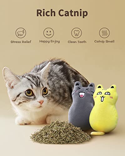 Feeko 5Pcs Catnip Toys, Cat Pillow Toys, Rattle Sound, Cat Toys for Indoor Cats Interactive with Cute Cat Toy Set, Cat Teething Chew Toy, Bite Resistant Catnip Toys Plush Gift