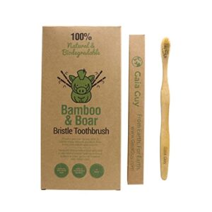 gaia guy natural bristle bamboo toothbrush with boar bristles - totally biodegradable and compostable - no nylon toothbrushes - zero waste 12-pack