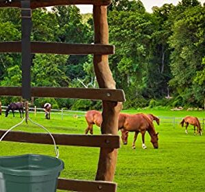 Loaged Adjustable Nylon Bucket Strap （3 Pack）- for Hay Nets, Water Buckets, Hanging Strap,Horse Outdoor Feeders,Heavy Duty Horse Water Feed, 30" (Black)