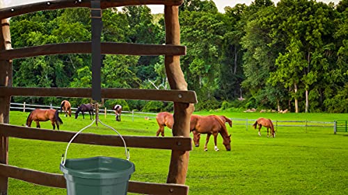 Loaged Adjustable Nylon Bucket Strap （3 Pack）- for Hay Nets, Water Buckets, Hanging Strap,Horse Outdoor Feeders,Heavy Duty Horse Water Feed, 30" (Black)