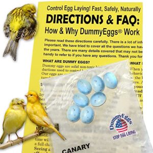 dummyeggs canary dummy eggs stop laying! 7 non-toxic solid plastic fake eggs. 11/16" x 1/2" speckled blue-green plastic, not painted. made in usa brand