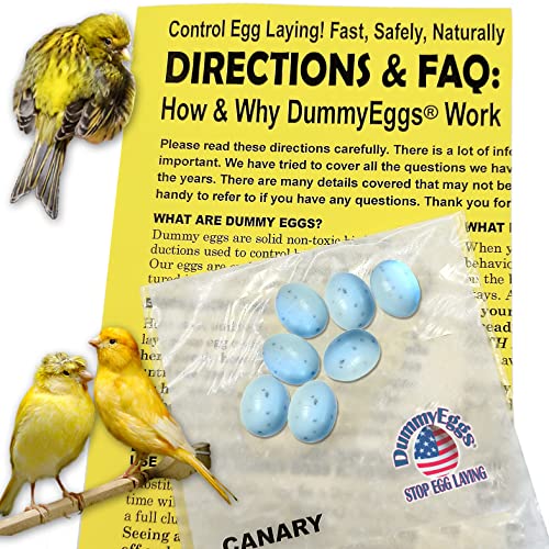 DummyEggs Canary Dummy Eggs Stop Laying! 7 Non-Toxic Solid Plastic Fake Eggs. 11/16" x 1/2" Speckled Blue-Green Plastic, Not Painted. Made in USA Brand