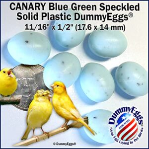 DummyEggs Canary Dummy Eggs Stop Laying! 7 Non-Toxic Solid Plastic Fake Eggs. 11/16" x 1/2" Speckled Blue-Green Plastic, Not Painted. Made in USA Brand