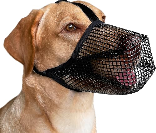 Dog Muzzle, Soft Mesh Covered Muzzles for Small Medium Large Dogs, Poisoned Bait Protection Muzzle with Adjustable Straps, Prevent Biting Chewing and Licking