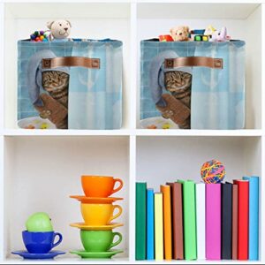 Foldable Storage Baskets,Funny Kitten Cat Storage Bins with Handles, Decorative Cloth Organizer Storage Boxes for Home|Office 15 x 11 x 9.5 in
