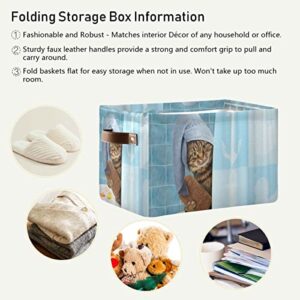 Foldable Storage Baskets,Funny Kitten Cat Storage Bins with Handles, Decorative Cloth Organizer Storage Boxes for Home|Office 15 x 11 x 9.5 in