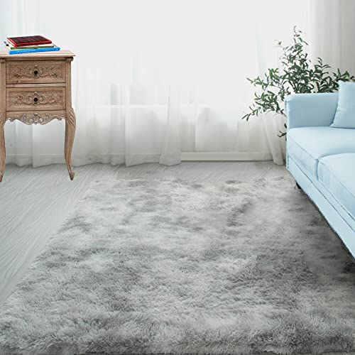 wxnzsl Fluffy Bedroom Rug 3x5 Fuzzy Shaggy Floor Carpet, Soft Plush Furry Rug for Living Room/Girls/Boys Room - Light Gray