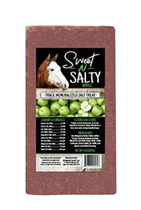 kalmbach feeds sweet n salty apple flavored salt treat brick for horses, 4 lb