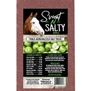 Kalmbach Feeds Sweet N Salty Apple Flavored Salt Treat Brick for Horses, 4 lb