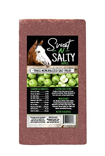 Kalmbach Feeds Sweet N Salty Apple Flavored Salt Treat Brick for Horses, 4 lb