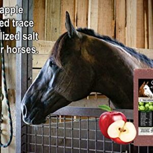 Kalmbach Feeds Sweet N Salty Apple Flavored Salt Treat Brick for Horses, 4 lb