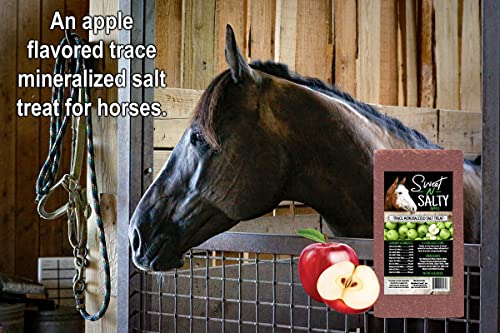 Kalmbach Feeds Sweet N Salty Apple Flavored Salt Treat Brick for Horses, 4 lb