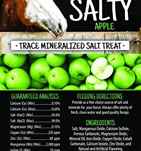 Kalmbach Feeds Sweet N Salty Apple Flavored Salt Treat Brick for Horses, 4 lb