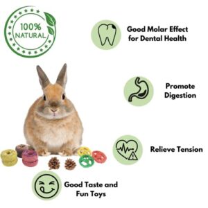 Lacrima Rabbit Chew Toys Donuts 13PCS - All Natural Bunny Toys, Guinea Pig Toys, Hamster Toys, Rabbit Toys, Intestine Teeth Health Treats for Guinea Pig, Rabbit, Bunny, Chinchilla, Hamster