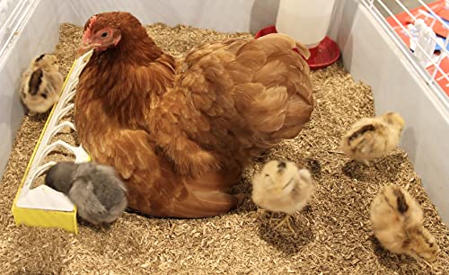 24 L Rowdy Rooster Hemp Animal Bedding