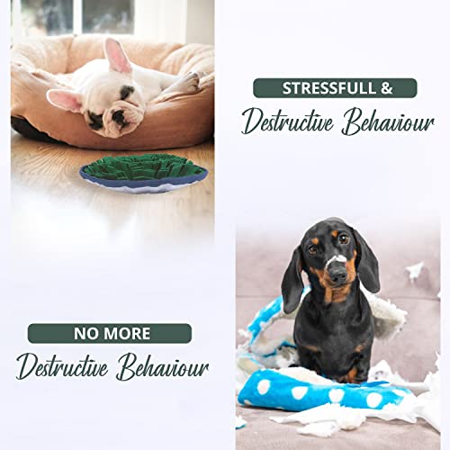 PET ARENA Adjustable Snuffle mat for Dogs, Cats - Dog Puzzle Toys, Enrichment Pet Foraging mat for Smell Training and Slow Eating, Stress Relief Dog Toy for Feeding, Dog Mental Stimulation Toys