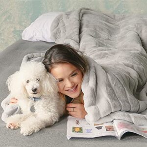 Luxury Striped Faux Fur Throw Blanket 60 x 80 for Couch Sofa Bed in Classic Gray, Lightweight, Soft & Cozy